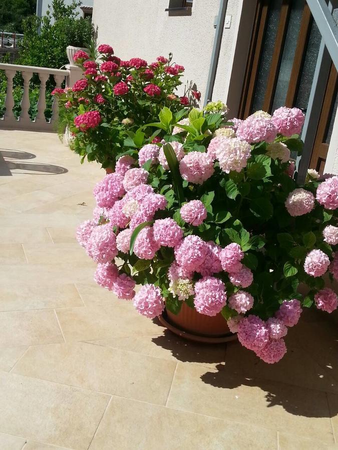 Apartamento Azure Adriatic Kotor Exterior foto