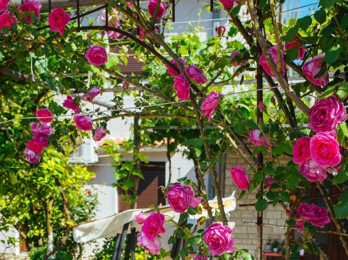 Apartamento Azure Adriatic Kotor Exterior foto